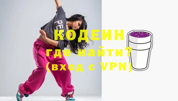 индика Алзамай