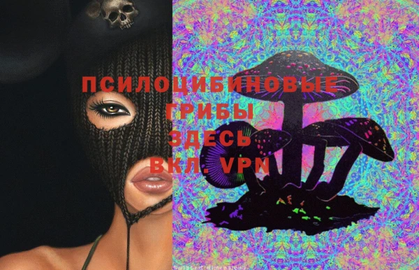 индика Алзамай