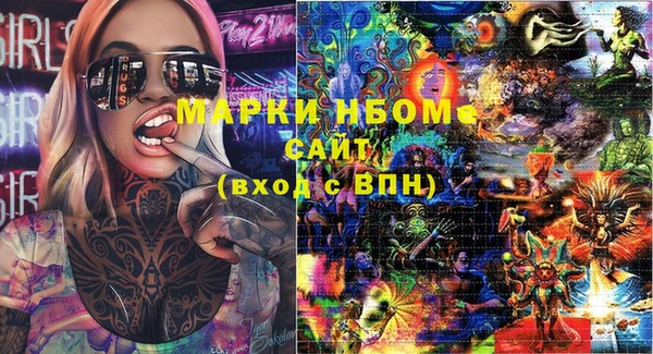 индика Алзамай