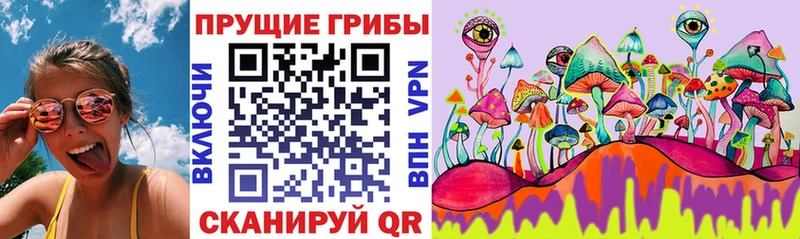 Псилоцибиновые грибы Cubensis  Клин 